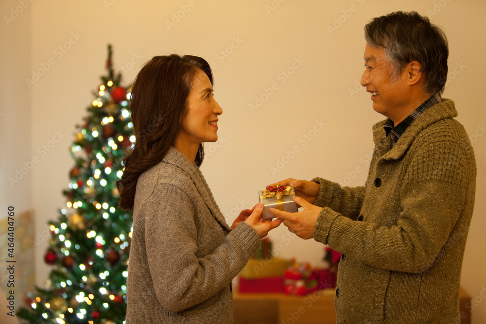クリスマスプレゼントを渡すシニア夫婦 クリスマスプレゼントを渡すシニア夫婦