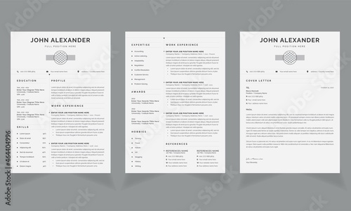 Minimalist Resume template Line Accents cv