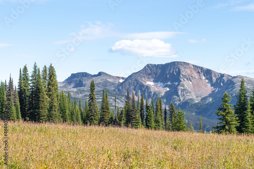 Trophy Mountain hike in the meadows of Wells Gray Provincial Park near Clearwater, BC. Beautiful alpine meadows in the summer in the mountains © Alisa