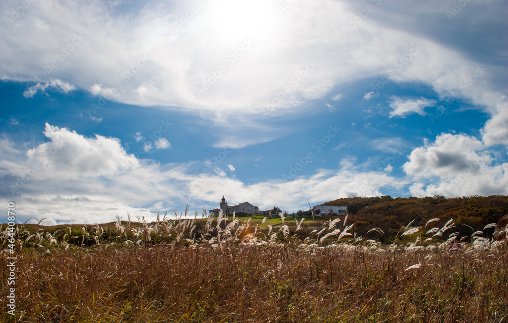 Fototapeta premium Lighthouse. Busse lighthouse. Primorsky Krai. 