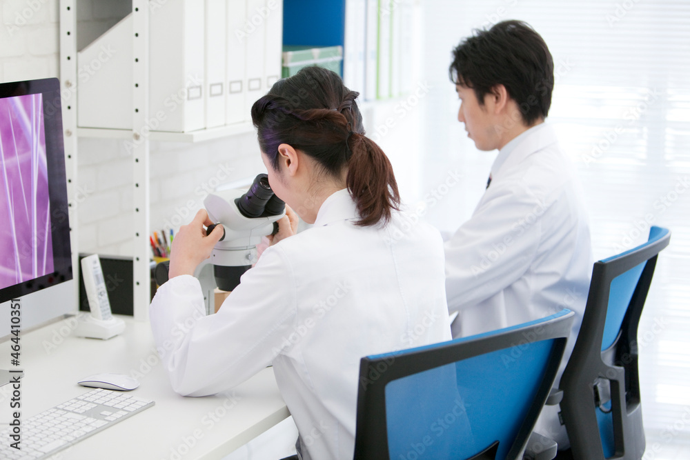 顕微鏡を覗く研究員 顕微鏡を覗く研究員