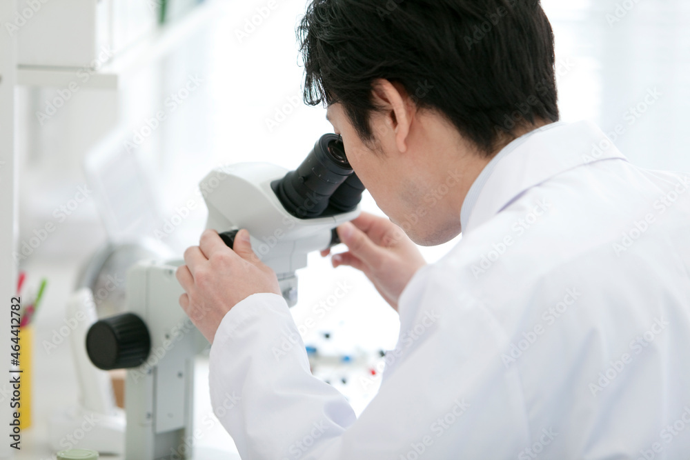 顕微鏡を覗く研究員 顕微鏡を覗く研究員