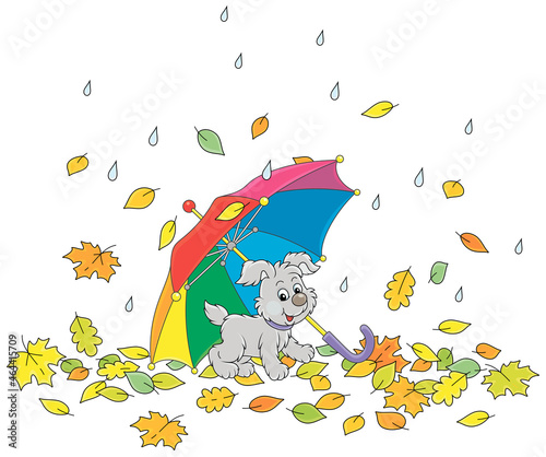 Merry little pup under a colorful toy umbrella among fallen autumn leaves in a park on a rainy day, vector cartoon illustration isolated on a white background