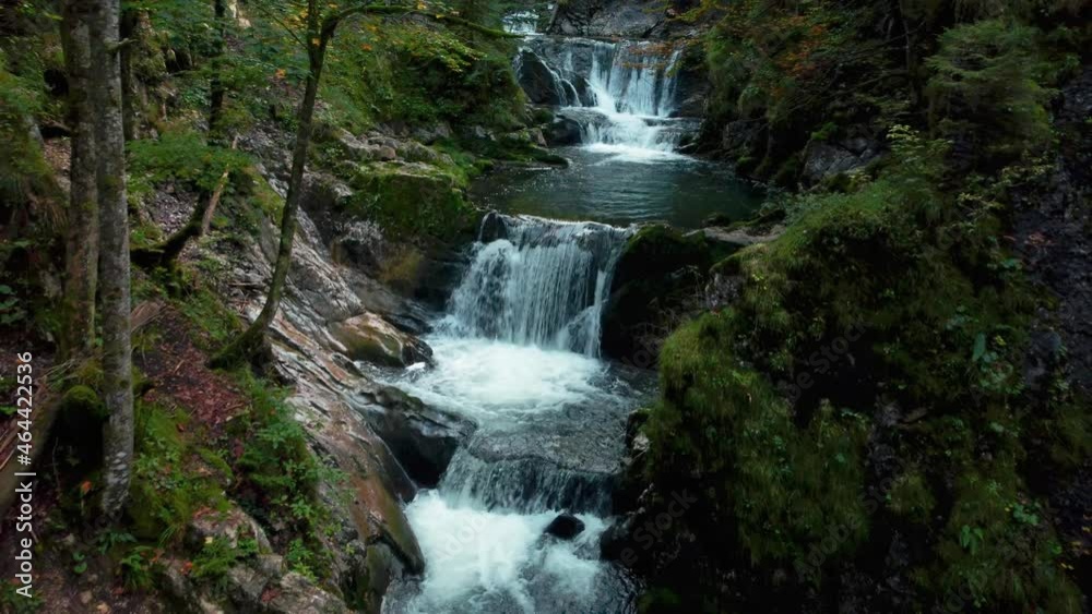 Dreamy cascade waterfall river flowing down a mountain canyon in the vibrant green and colorful autumn forest at Tegernsee, Bavaria, Germany. Slow drone aerial with red and yellow leaves on the trees Dreamy cascade waterfall river flowing down a mountain canyon in the vibrant green and colorful autumn forest at Tegernsee, Bavaria, Germany. Slow drone aerial with red and yellow leaves on the trees