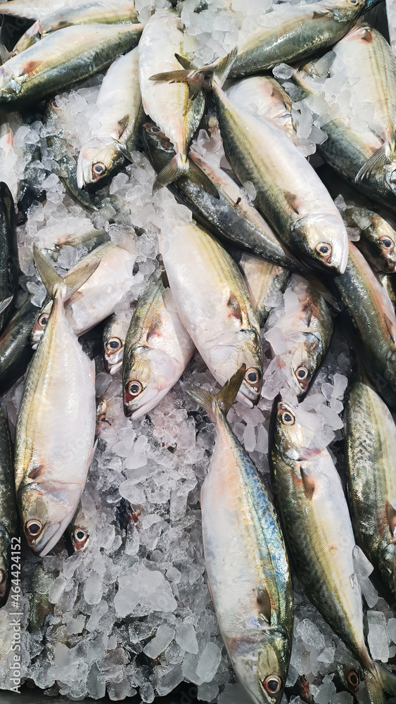 Obraz premium Fresh fish in local fish market with ices cubes on top for sale