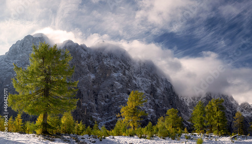 Slemenova Špica macesni Vršič Slovenia