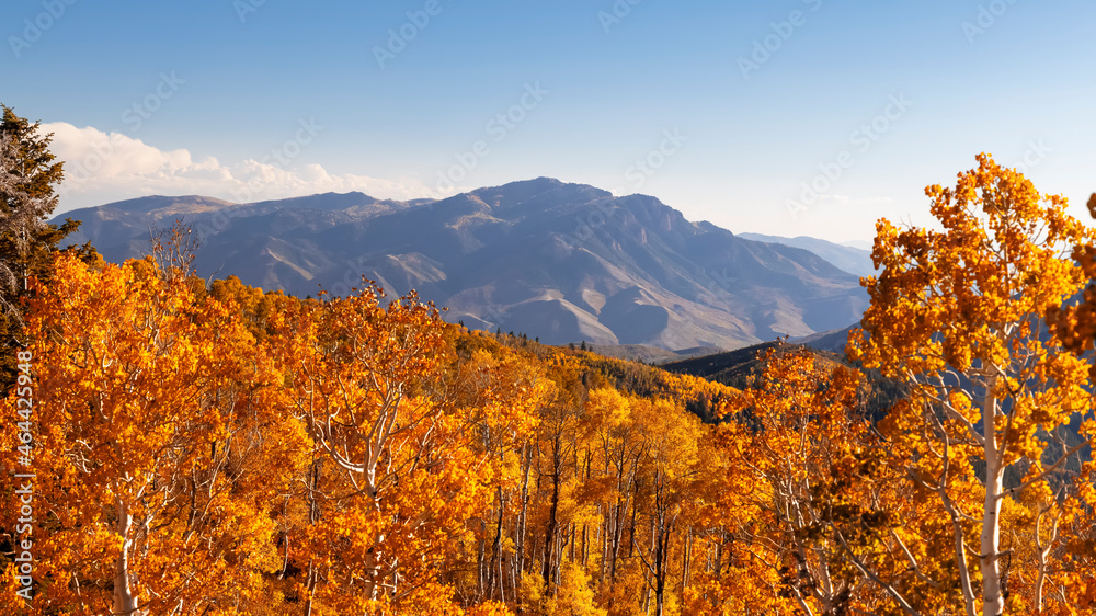 Fototapeta premium Bald mountain peak from Nebo loop surrounded with fall foliage in Utah
