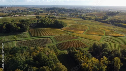 Aerial view Bordeaux Vineyard at sunrise,film by drone in autumn, Entre deux mers, Semens, Verdelais. High quality 4k footage photo