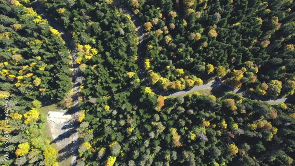Top down drone view above an alpine forest in autumn. The drone flies over the forest of different coloured trees and evergreens. Top down drone view above an alpine forest in autumn. The drone flies over the forest of different coloured trees and evergreens.