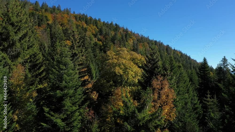 A drone flies over an alpine forest with views across a large lake and in the distant haze a majestic view of the Mont Blanc massive and high peaks of the Swiss and French alps. A drone flies over an alpine forest with views across a large lake and in the distant haze a majestic view of the Mont Blanc massive and high peaks of the Swiss and French alps.