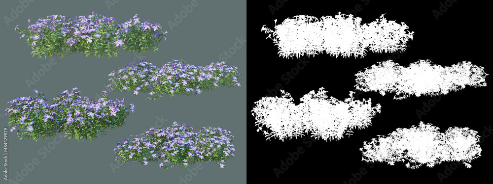 A wide variety of trees and shrubs
A wide variety of trees and shrubs