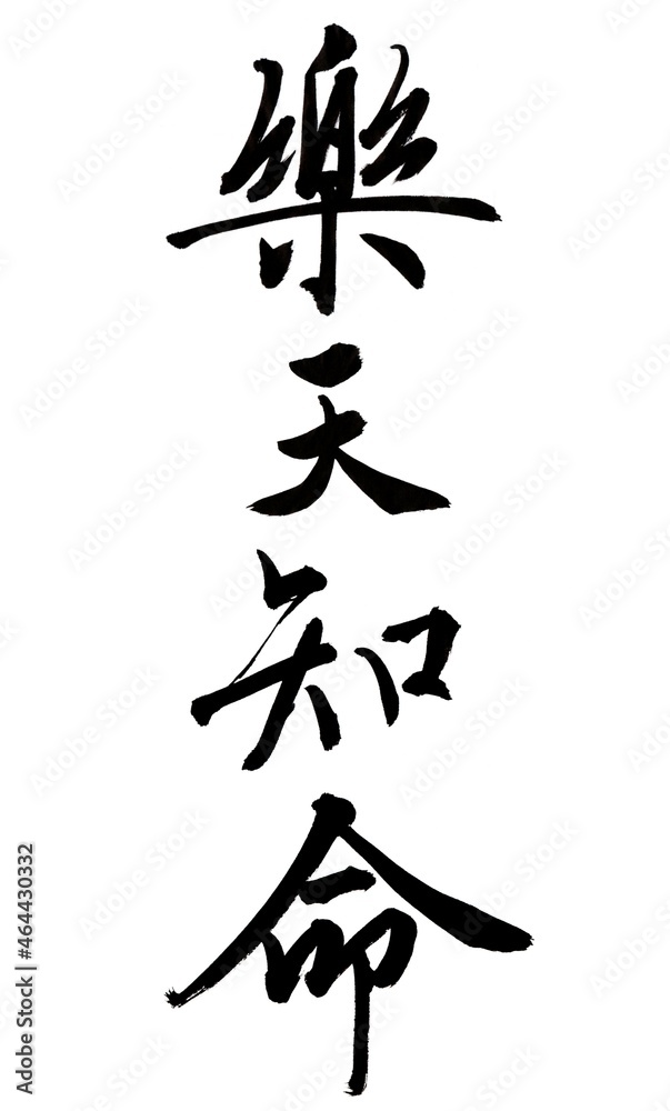 書家による筆文字 縦書き楽天知命 書家による筆文字 縦書き楽天知命