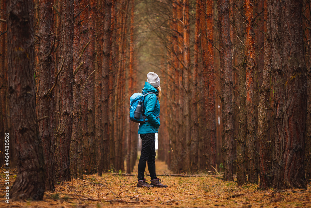 Woman with backpack and knit hat hiking in pine forest. Hiker looking for path out of deep woodland. Autumn trekking and outdoor adventure Woman with backpack and knit hat hiking in pine forest. Hiker looking for path out of deep woodland. Autumn trekking and outdoor adventure