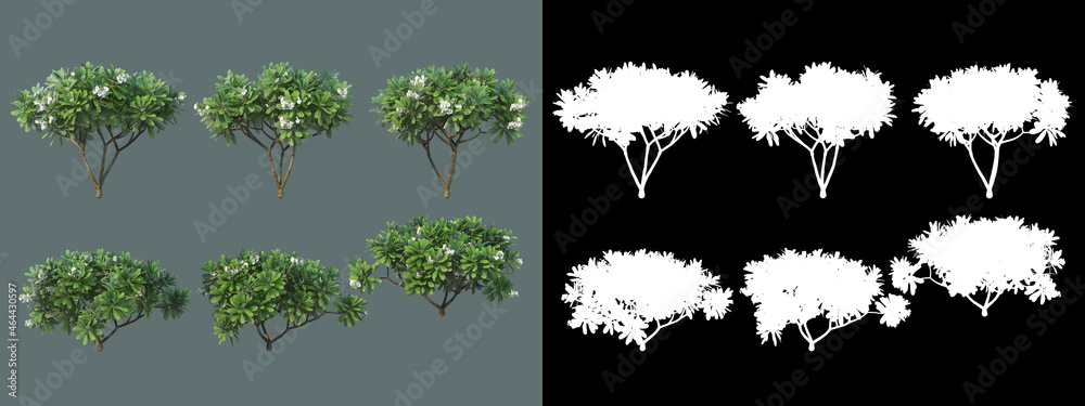 A wide variety of trees and shrubs
A wide variety of trees and shrubs