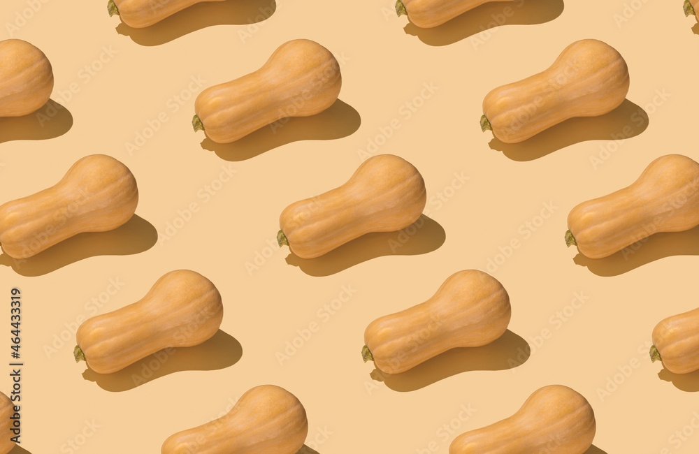 Photo image of long raw pumpkin isolated on light beige backdrop Photo image of long raw pumpkin isolated on light beige backdrop