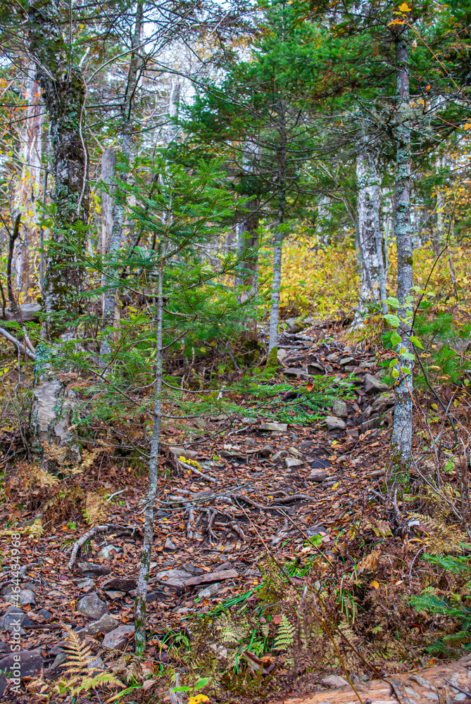 Obraz premium Fog in the mountains. Mount Falaza. Tourism.