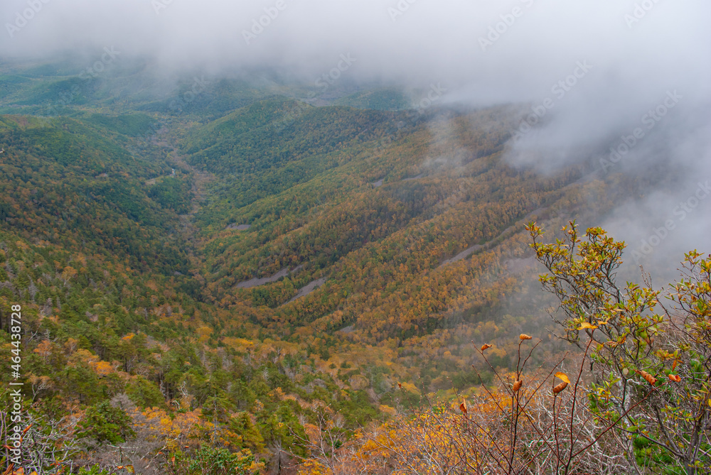 Blurred background. Fog in the mountains. Mount Falaza. Tourism.