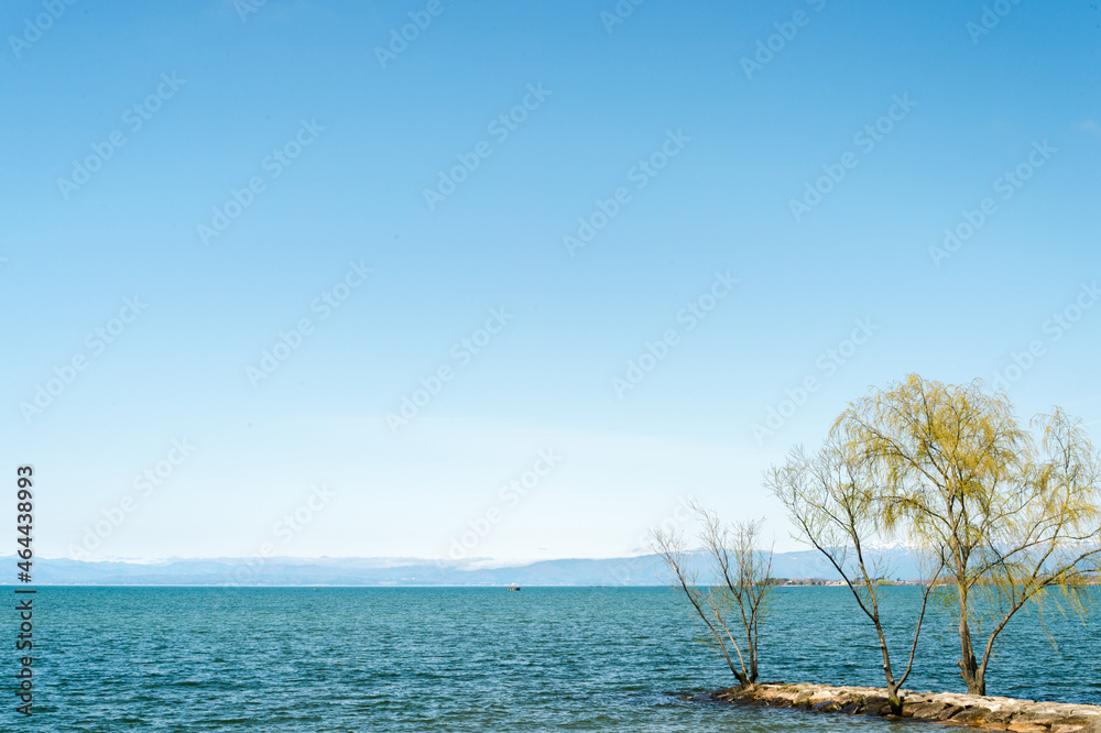 青い空が広がる琵琶湖の湖岸