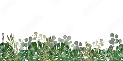 Hand painted endless border frame of watercolor leaves of tropical plants. Green botanical background. For business cards, invitations, wedding designs, postcards, textiles, websites and social media.