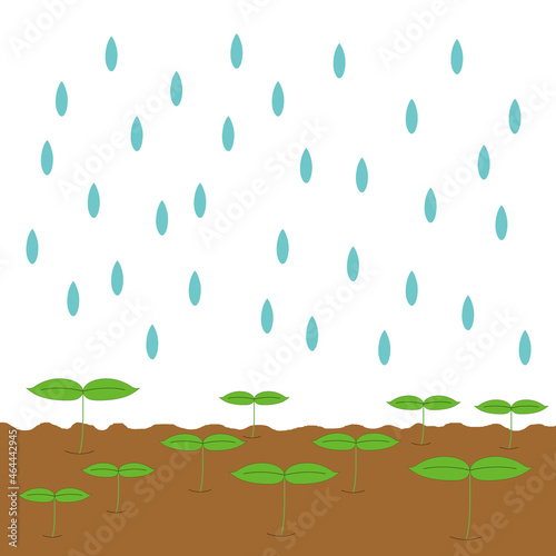 It's raining on the sprouts growing on the ground vector image illustration