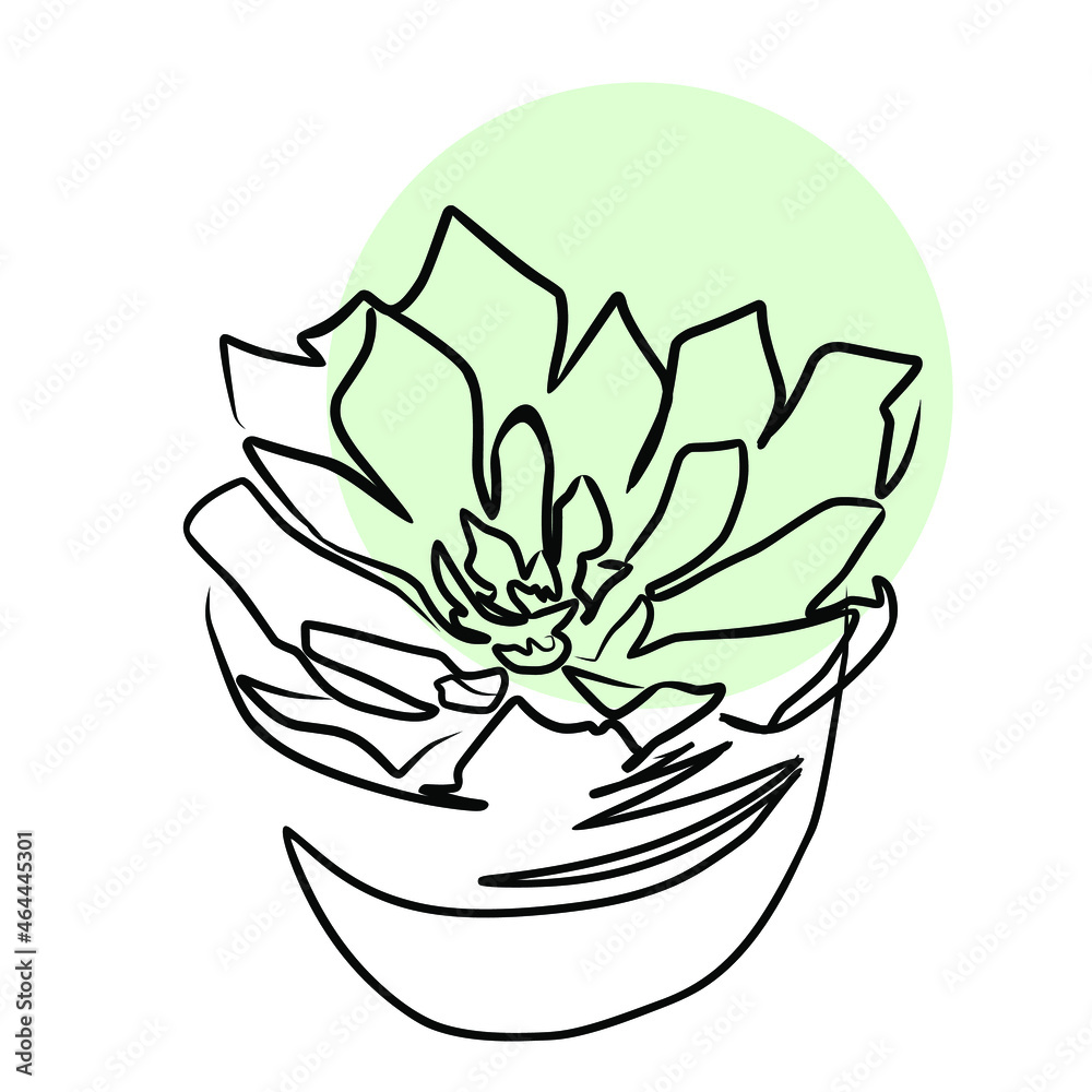Vector illustration of home plant. Line art Vector illustration of home plant. Line art
