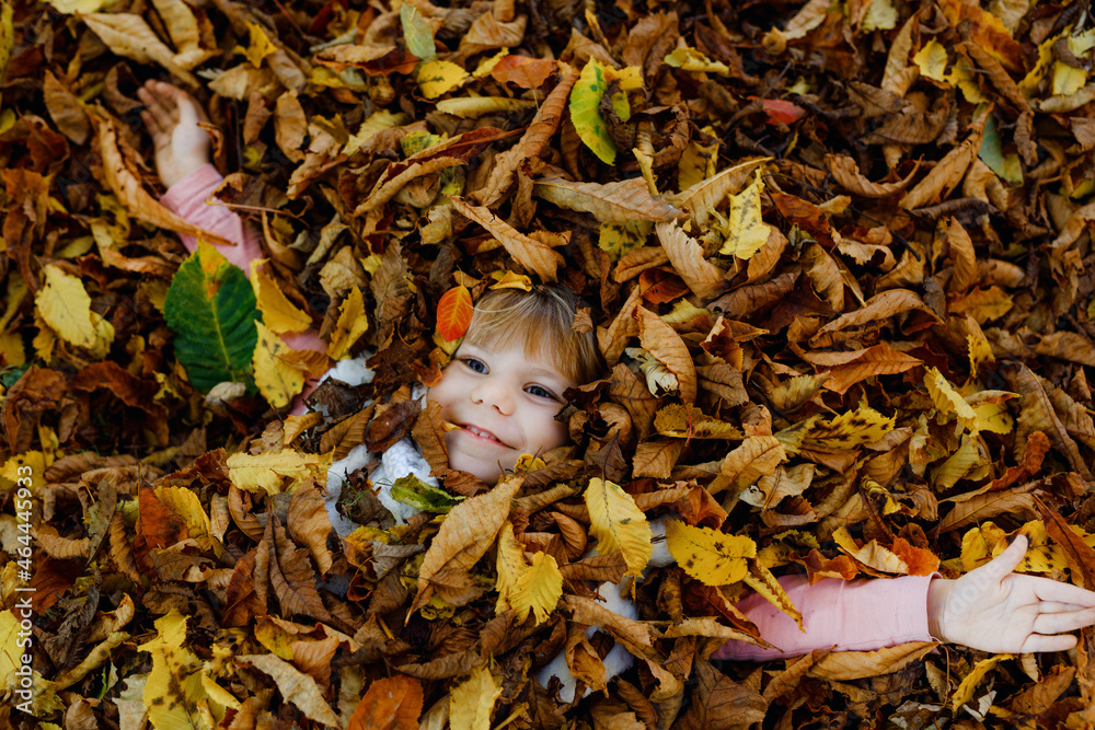 Fall portrait of little toddler girl in autumn park on warm october day with oak and maple leaf. Child lie in lot of leaves. Family outdoor fun in fall. Kid smiling. Healthy baby girl