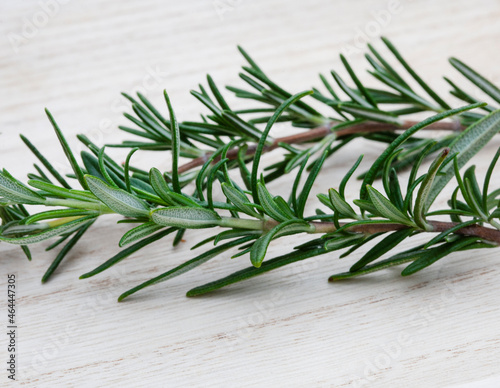 sprig of fresh rosemary on a light wooden surface
