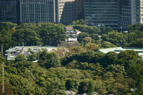Photography Tokyo, Castle, Imperial Palace, Woodland, Skyscrapers, Otemachi