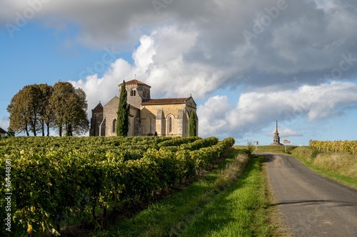 Eglise dans les vignes de cognac