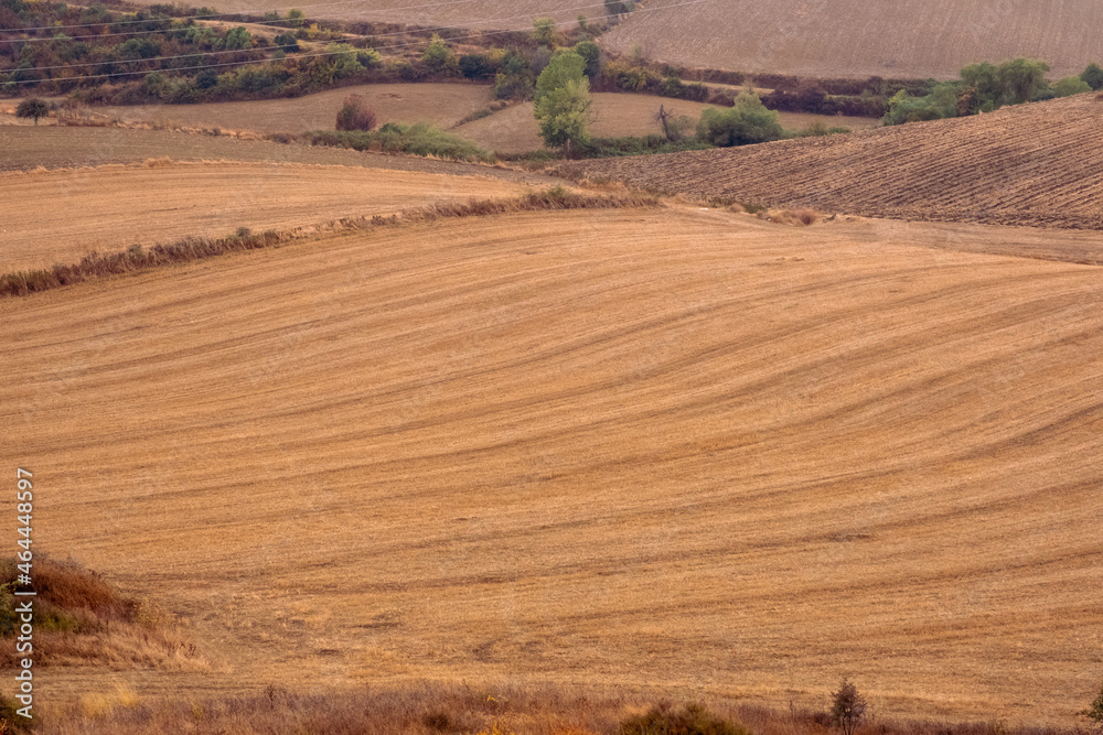 Obraz premium empty field used for farming, front view