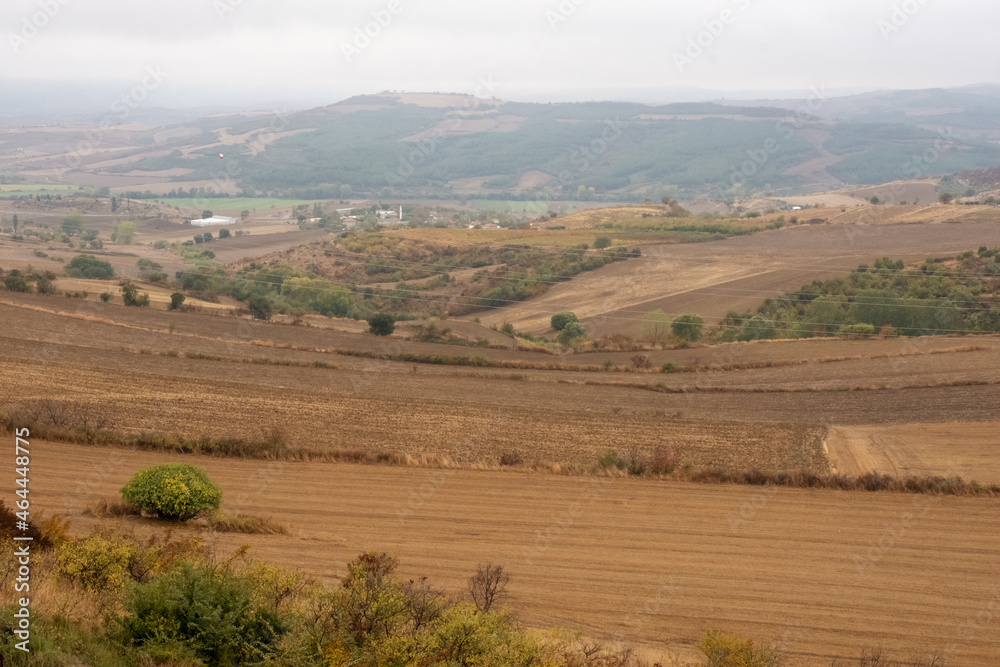 Fototapeta premium empty field used for farming, front view