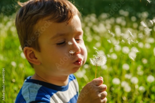 dandelion nature child litt...