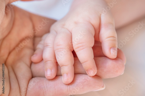 Baby's hand in mom's hand. Mom holds hand of a newborn baby. Care concept