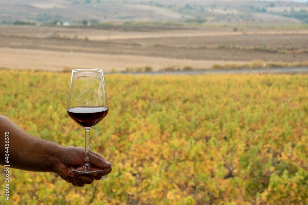 hand holding wine glass in vineyard