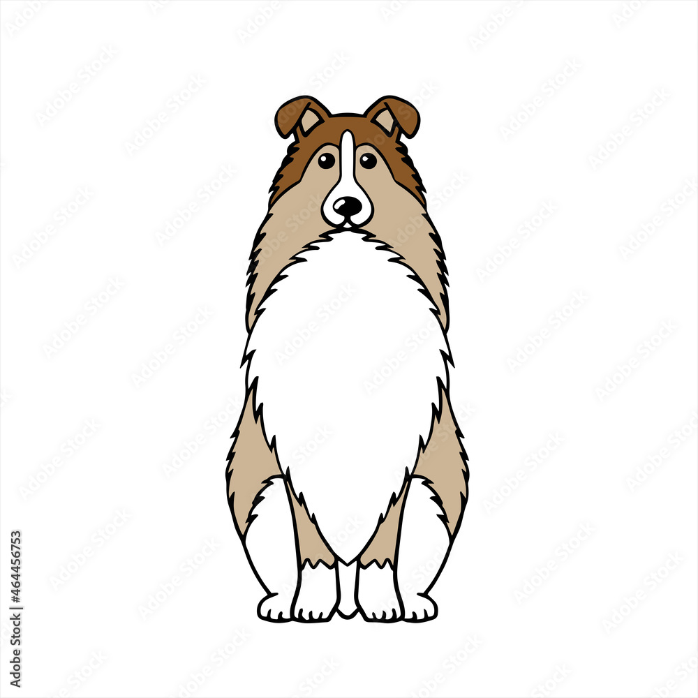 Sheltie シェルティ Sheltie シェルティ