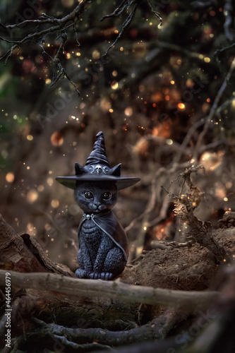 black cat toy in witch hat, dark mystery autumn dark background. black cat - symbol of witchcraft, samhain sabbat and Halloween holiday. fall season © Ju_see