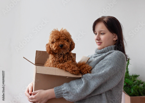 A teenage girl is holding a box in which a miniature poodle is sitting