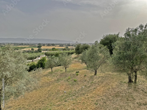 Assisi, la valle con la Basilica di Santa Maria degli Angeli photo