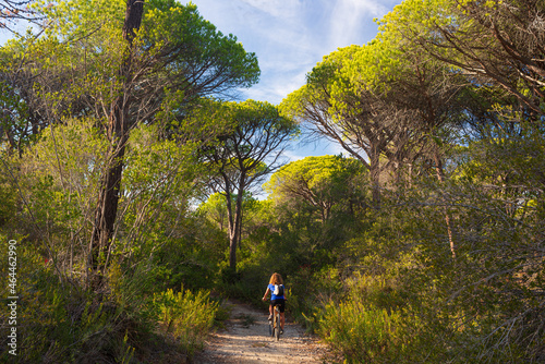 Woman riding MTB in Maremma nature reserve, Tuscany, Italy. Cycling among extensive pine forest olive trees and green woodland in natural park, dramatic coast photo