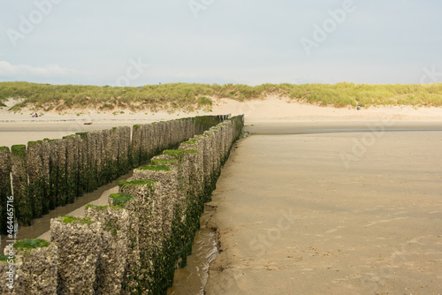 Fototapeta Naklejka Na Ścianę i Meble -  breakwaters on the empty beach 