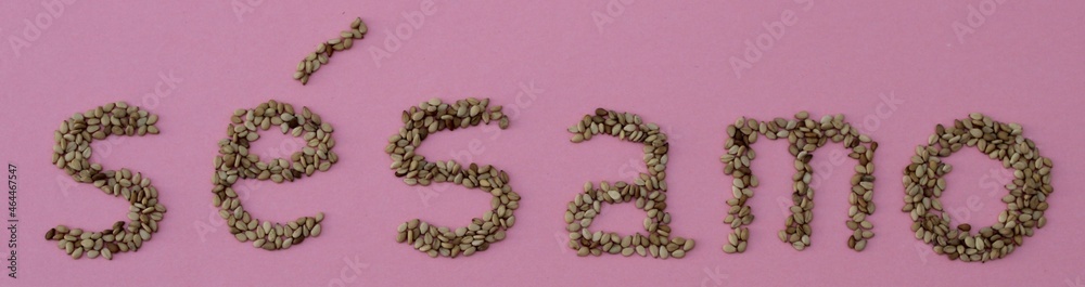 Sesame seeds on pink background forming the word Sesame seeds on pink background forming the word