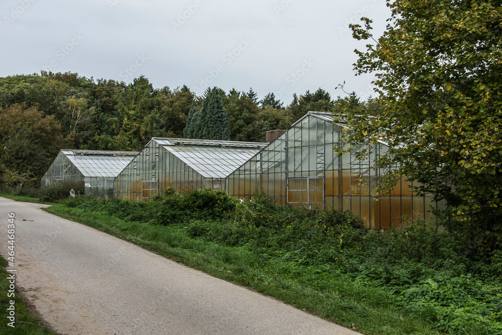 three greenhouses with plants in autumn