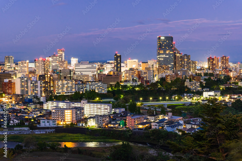仙台城跡から望む市内中心部　夜景