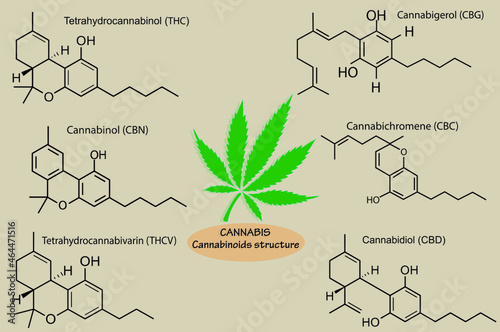 Structures of cannabinoid in cannabis plant isolated on background. 