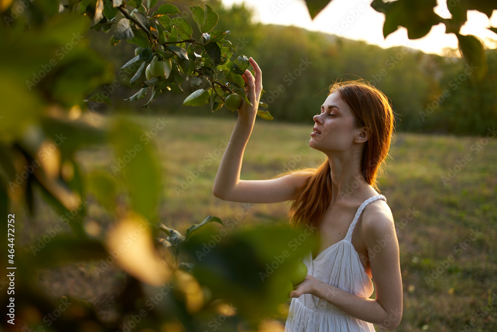 Red-haired woman in a field apples nature fruit Red-haired woman in a field apples nature fruit