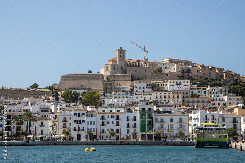 The beautiful island of Ibiza showing homes and apartments by the coast