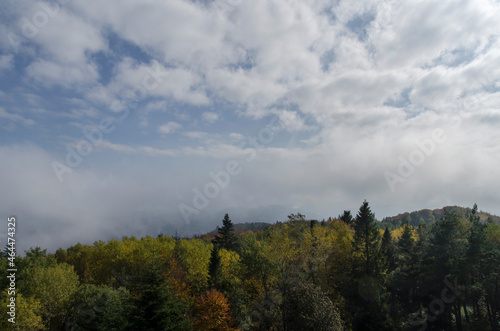 Fototapeta Naklejka Na Ścianę i Meble -  Panorama z Korbani - Bieszczady 