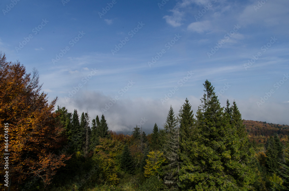 Bieszczadzkie panoramy 