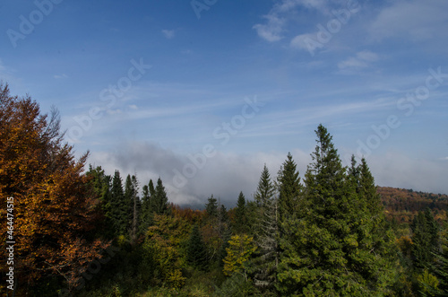 Bieszczadzkie panoramy 