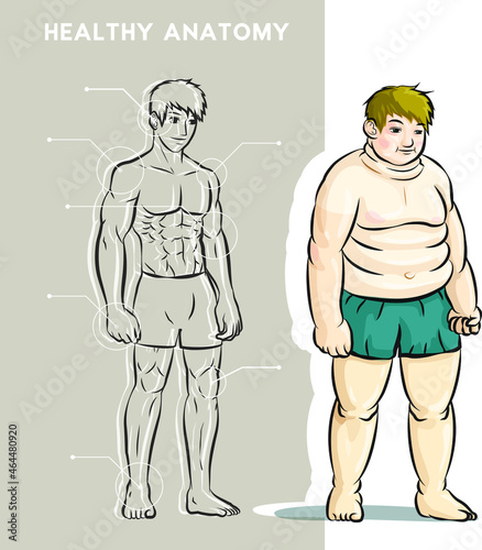 healthy body anatomy graph with fat man photo